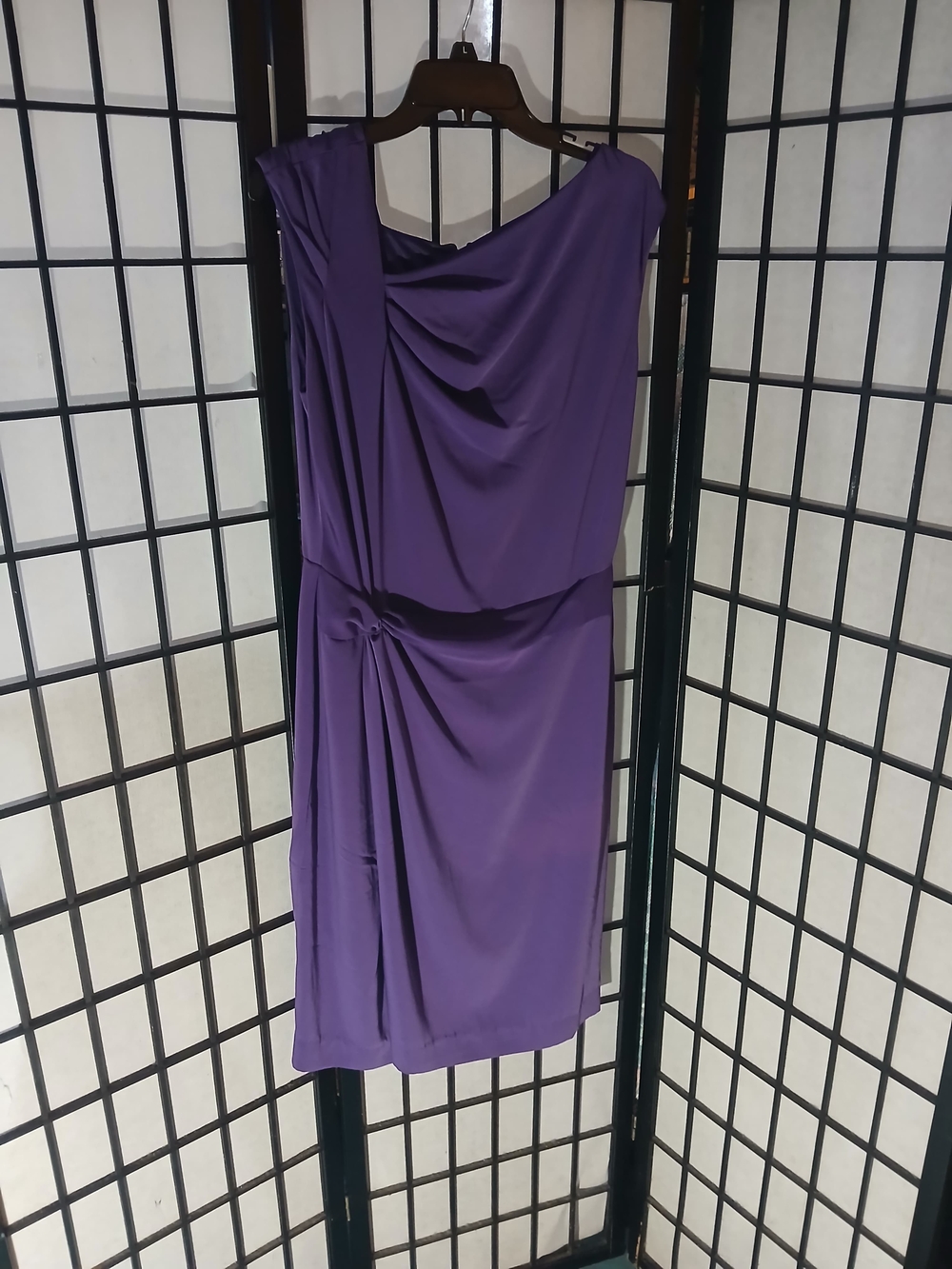 Eva Mendes Cocktail or Office Dress